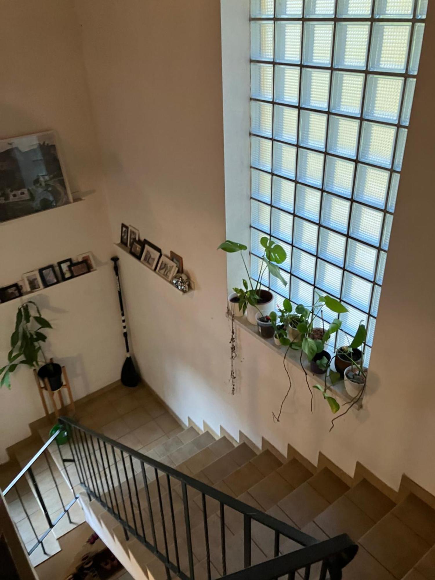 Apartment Am Ponyhof Sankt Kanzian am Klopeiner See Екстериор снимка